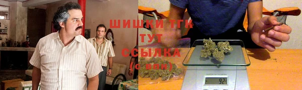 ешки Инсар