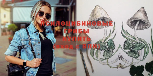 не бодяженный Инта