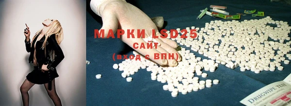 ешки Инсар