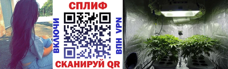 Купить где  Харовск  Бошки марихуана THC 21% 
